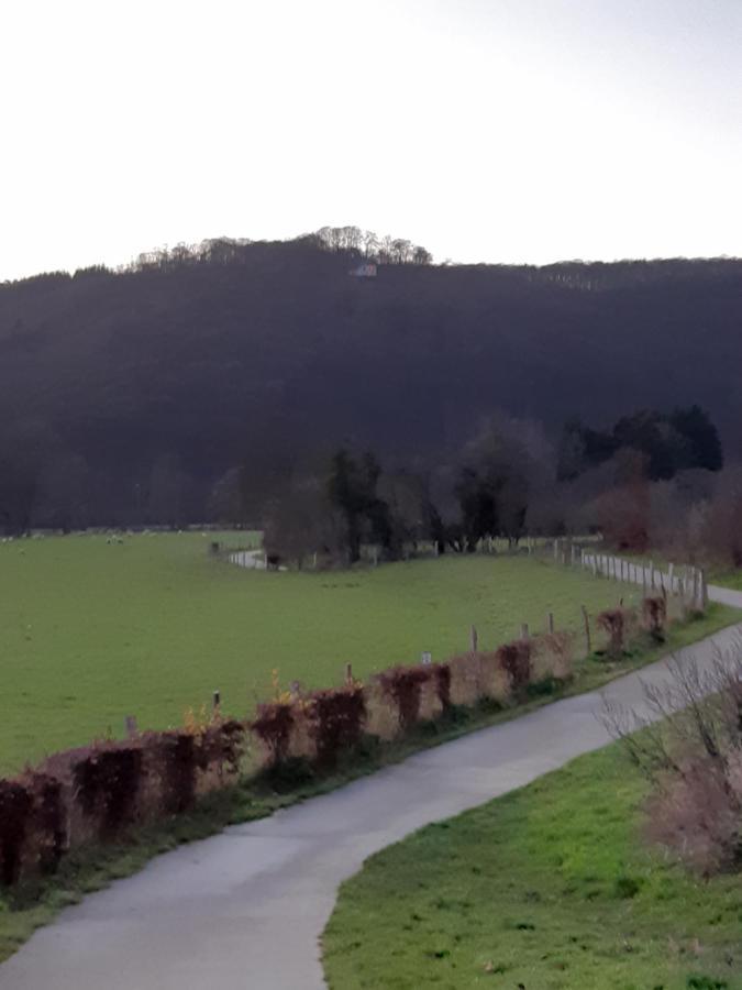 Bed & Breakfast Vallee De L'Ourthe Marcourt Exterior foto